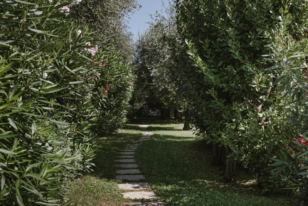 App. Mimosa Minerva Holiday Home Manerba del Garda Exterior photo